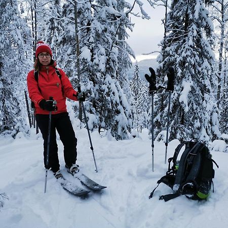 Guesthouse Koli Freetime Ahmovaara Eksteriør billede