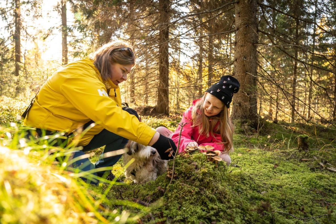 Guesthouse Koli Freetime Ahmovaara Eksteriør billede