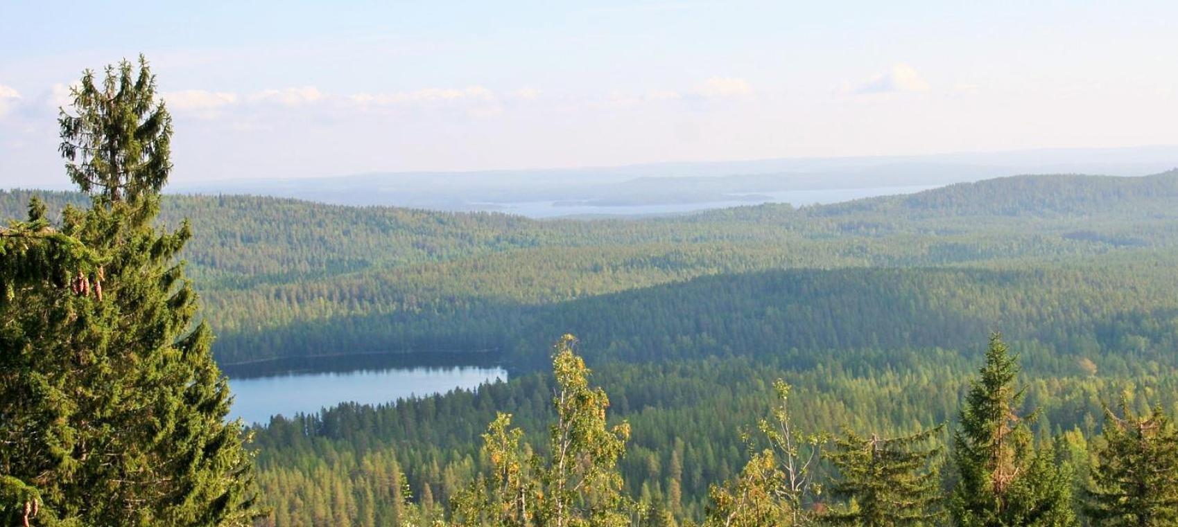 Guesthouse Koli Freetime Ahmovaara Eksteriør billede