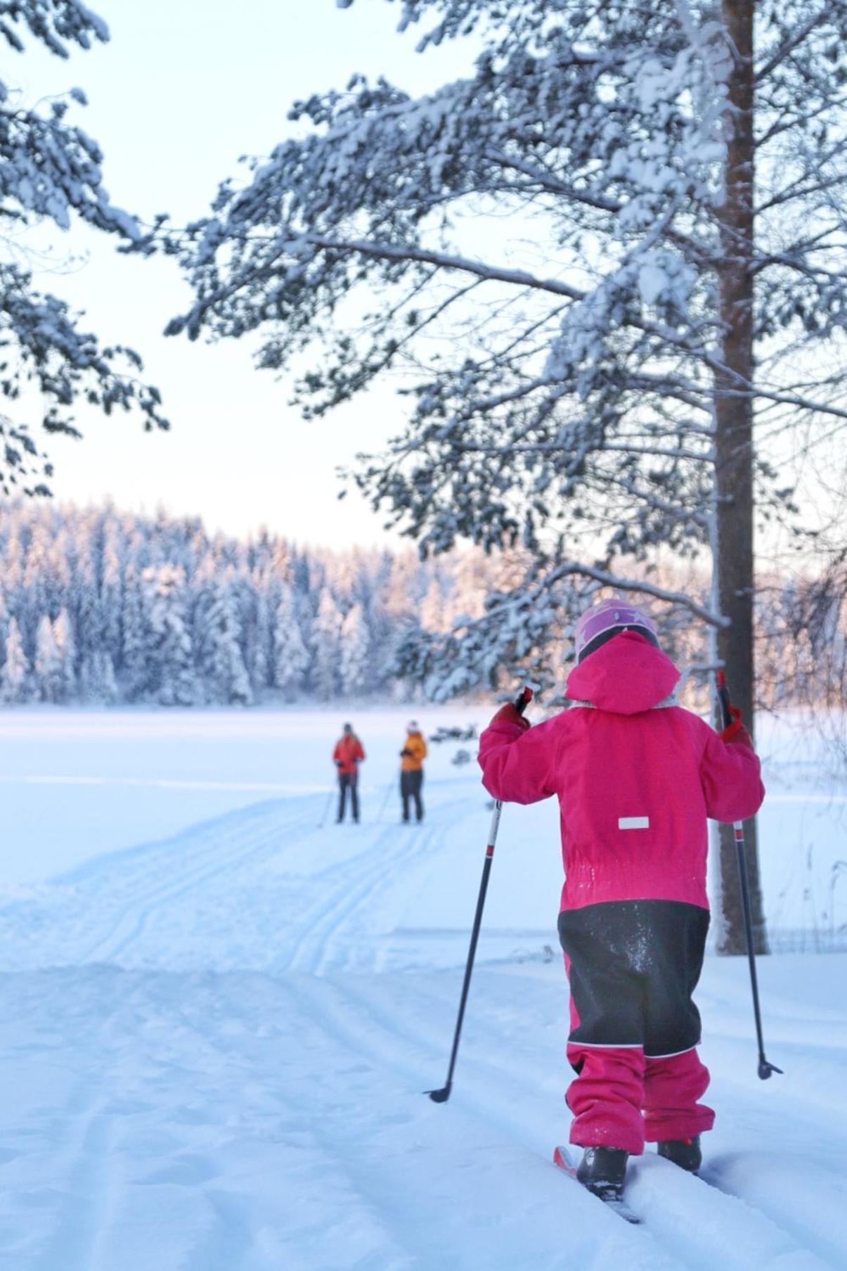 Guesthouse Koli Freetime Ahmovaara Eksteriør billede