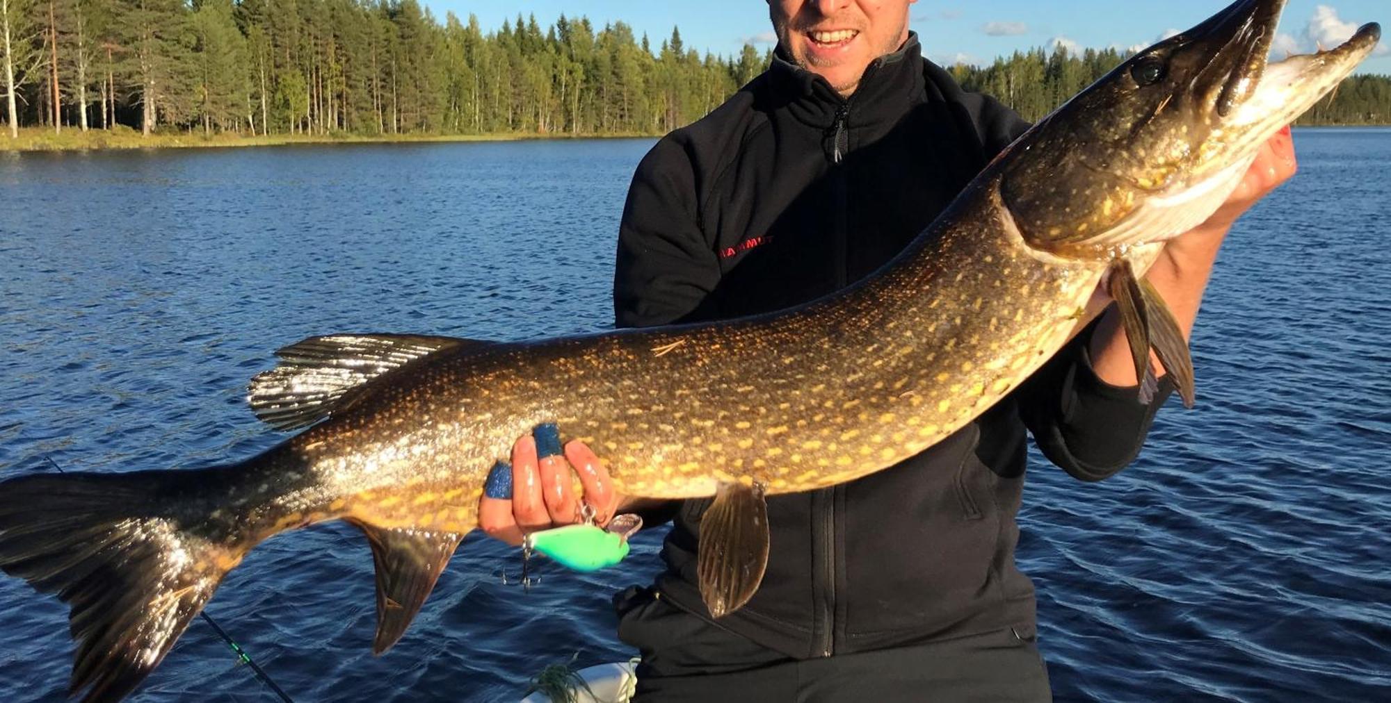 Guesthouse Koli Freetime Ahmovaara Eksteriør billede