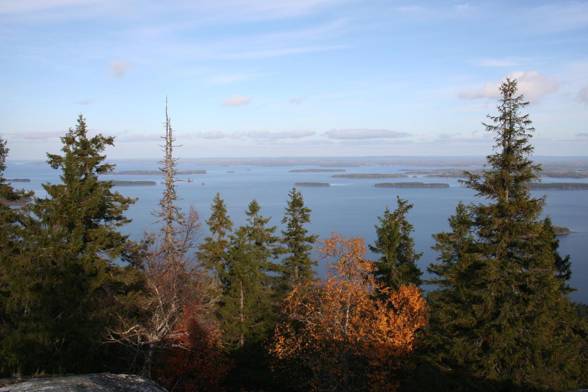 Guesthouse Koli Freetime Ahmovaara Eksteriør billede