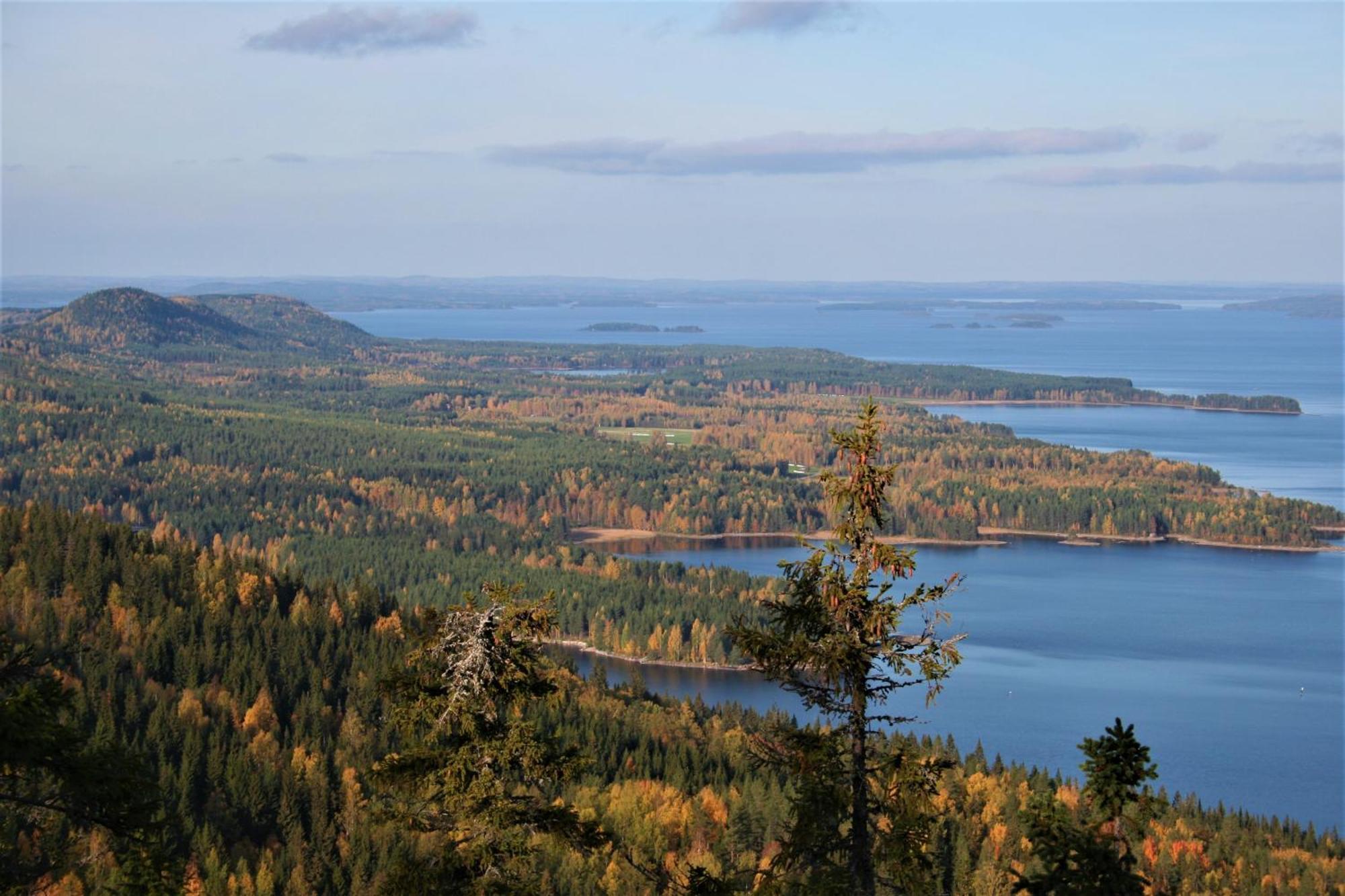 Guesthouse Koli Freetime Ahmovaara Eksteriør billede