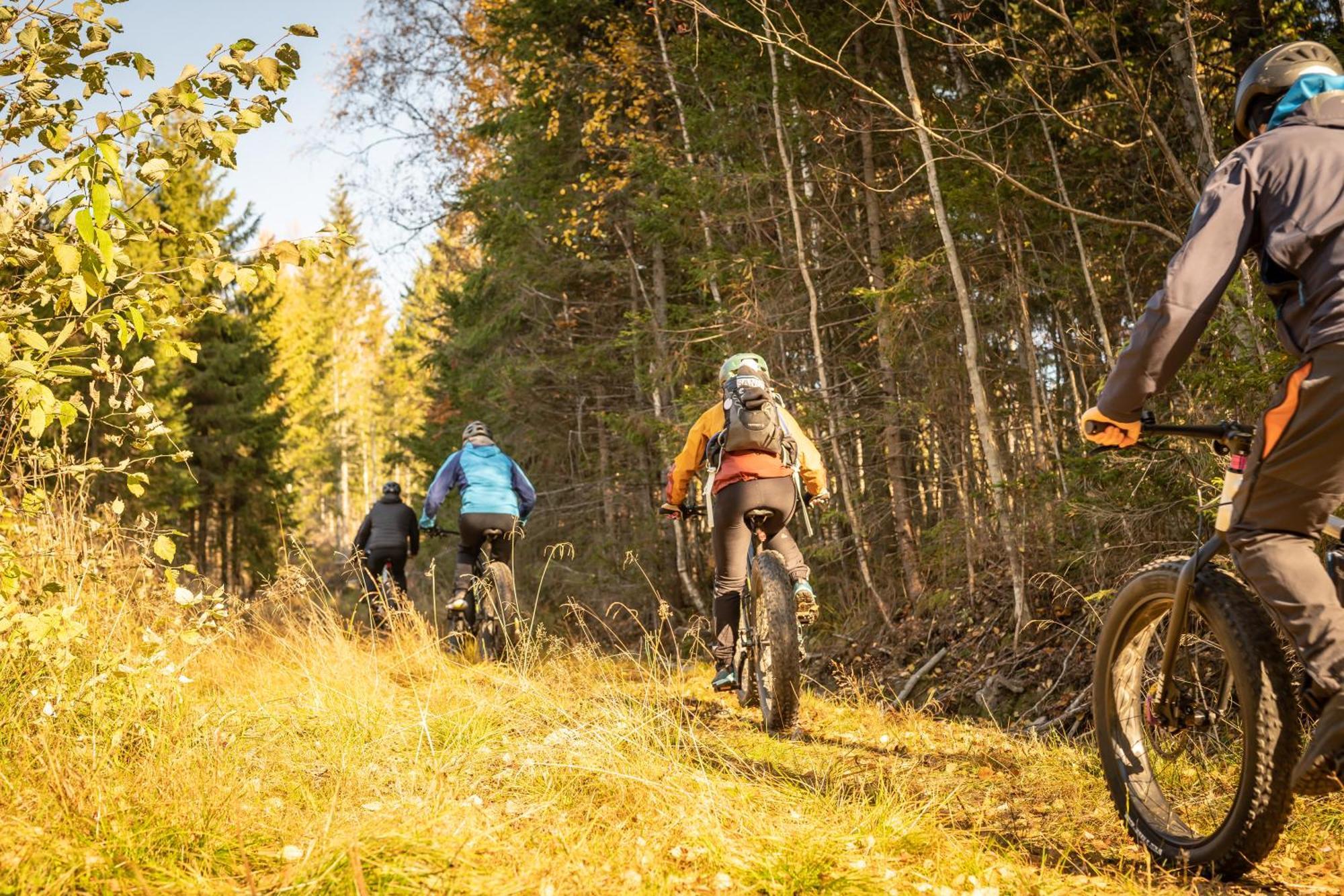 Guesthouse Koli Freetime Ahmovaara Eksteriør billede