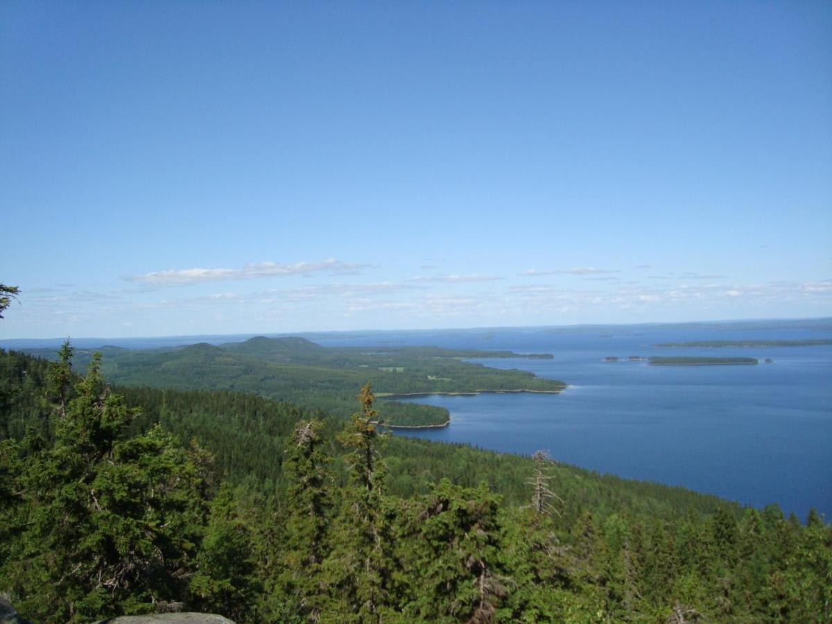Guesthouse Koli Freetime Ahmovaara Eksteriør billede